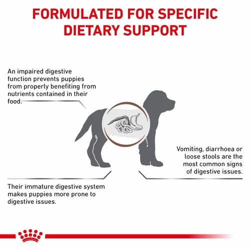 ROYAL CANIN® Veterinary Diet Gastrointestinal Puppy Sausā barība kucēniem ar mājputna gaļu gremošanas funkciju veicināšanai, 2.5kg