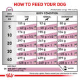 Load image into Gallery viewer, ROYAL CANIN® Veterinary Diet Renal Dog Dry Food With Fish, 14kg
