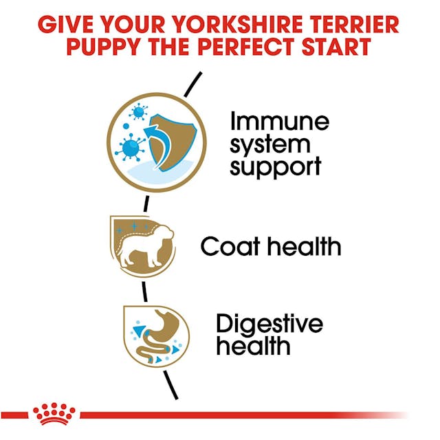 ROYAL CANIN® Yorkshire Terrier Puppy Sausā barība suņiem, 0,5kg