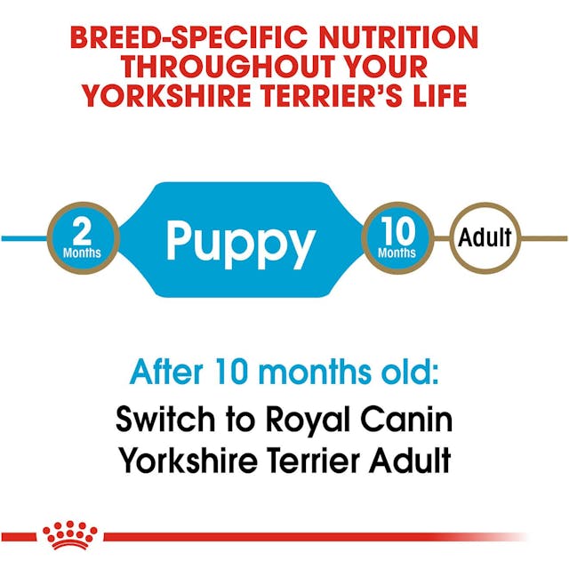 ROYAL CANIN® Yorkshire Terrier Puppy Sausā barība suņiem, 0,5kg