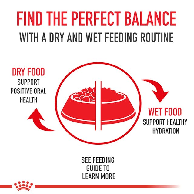 ROYAL CANIN® Maltese Adult Dry Dog Food, 1,5kg