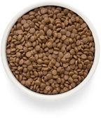 Grandorf Salmon & Potatoes Adult Sterilised 400g