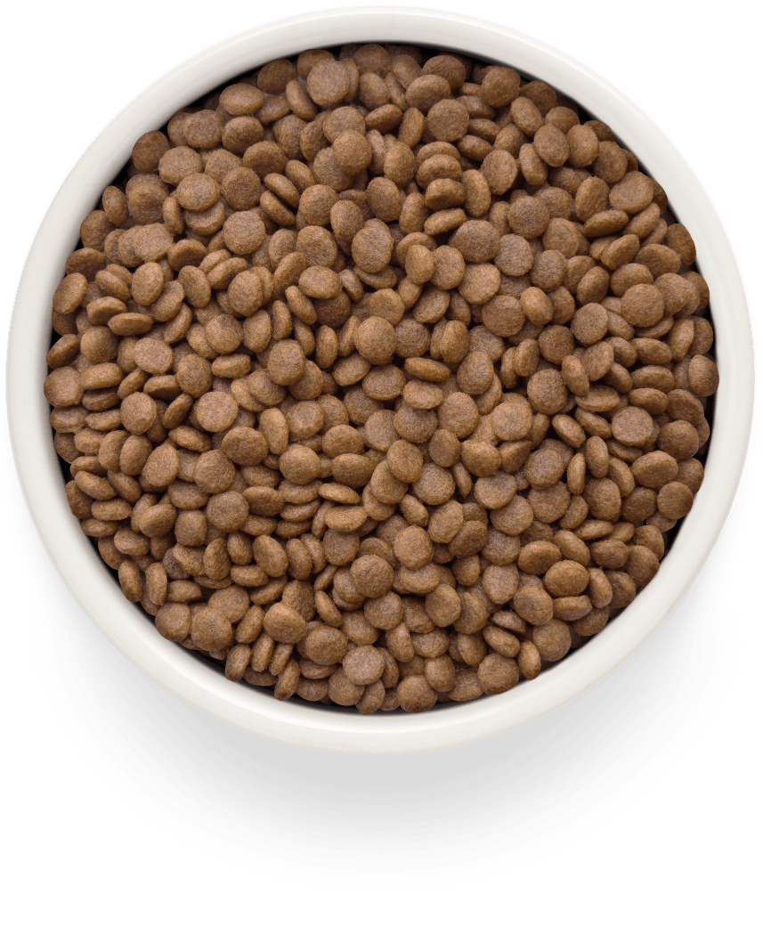 Grandorf Salmon&Potatoes Adult Sterilised Dry Food, 2kg