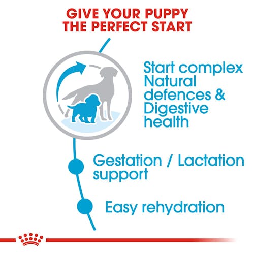 ROYAL CANIN® Medium Starter Mother&Babydog Sausā barība vidējām kucēm un kucēniem, 4kg