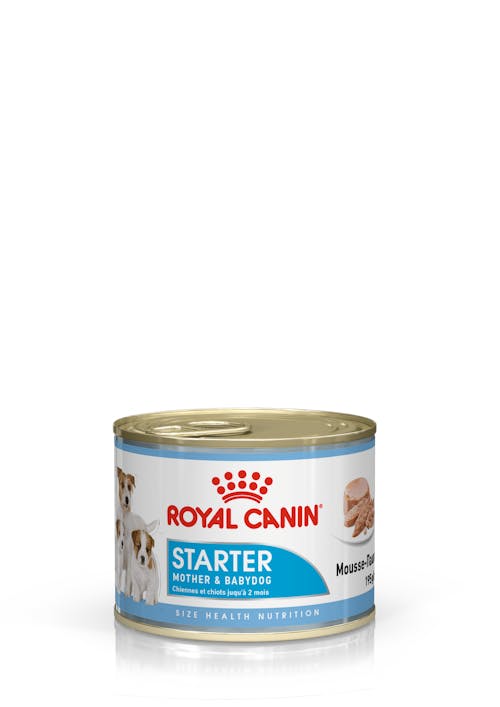 ROYAL CANIN® Starter Mousse Mother & Babydog, Wet Food, 195g