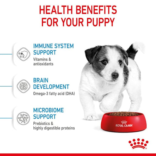 ROYAL CANIN® Mini Puppy Sausā barība kucēniem, 0,8kg