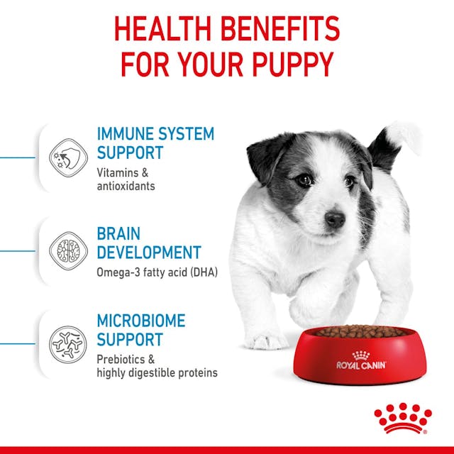 ROYAL CANIN® Mini Puppy Dry Dog Food, 8kg