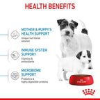 ROYAL CANIN® Mini Starter - Mother & Babydog Sausā barība kucēm un mazuļiem, 8kg