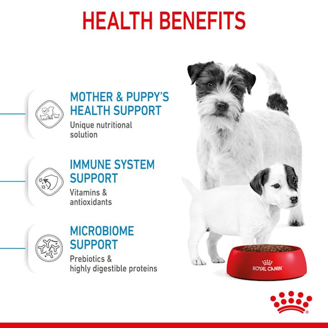 ROYAL CANIN® Mini Starter - Mother & Babydog Sausā barība kucēm un mazuļiem, 8kg
