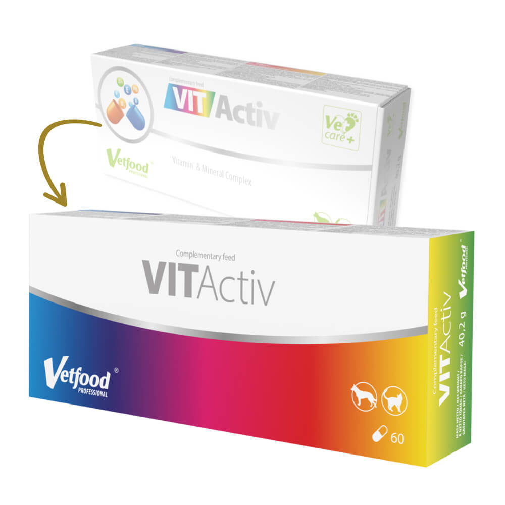 Vetfood Vitactiv Vitamin and Mineral Complex for Dogs and Cats N60, capsules