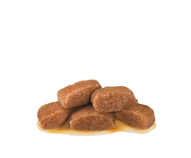 ROYAL CANIN® Veterinary Cat Neutered Balance Feine Stückchen in Sauce Nassfutter für Katzen, 85 g