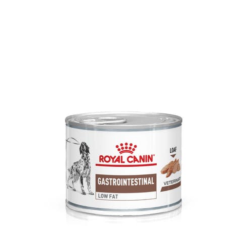 ROYAL CANIN® Veterinary Diet Gastrointestinal Low Fat Wet Dog Food, 200g