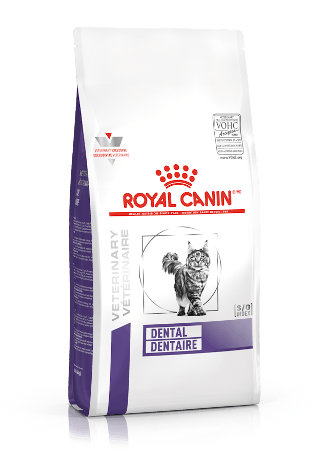 ROYAL CANIN® Veterinary Dental Sausā barība kaķiem zobakmens aizturēšanai, 1,5kg