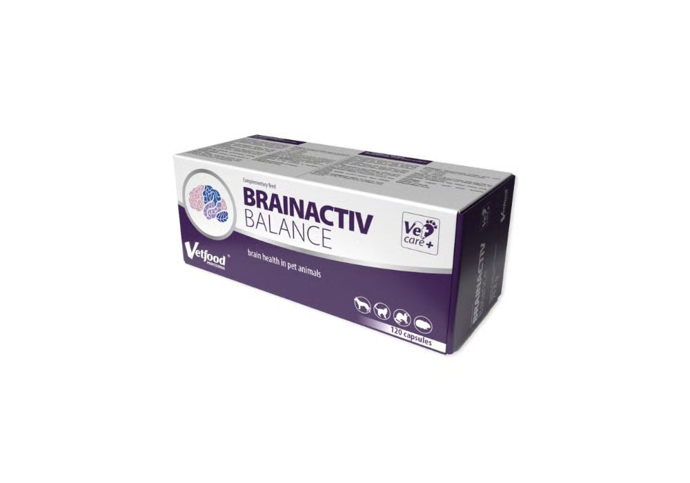 Brainactiv Balance N120