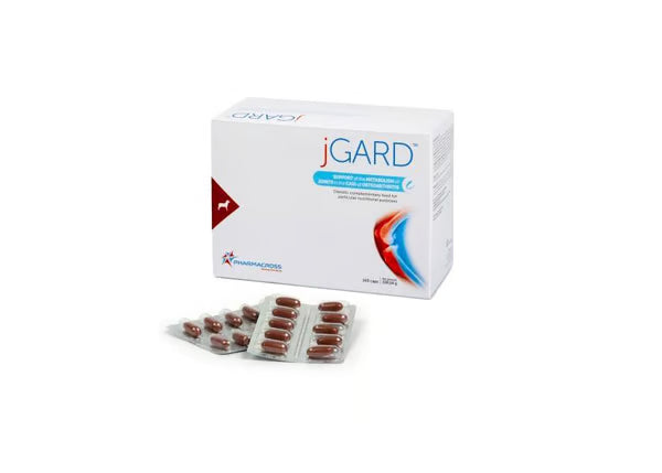 jGARD® Pasten-Ergänzungsfuttermittel für kleine Hunde zur Unterstützung der Gelenkfunktion, 30 ml
