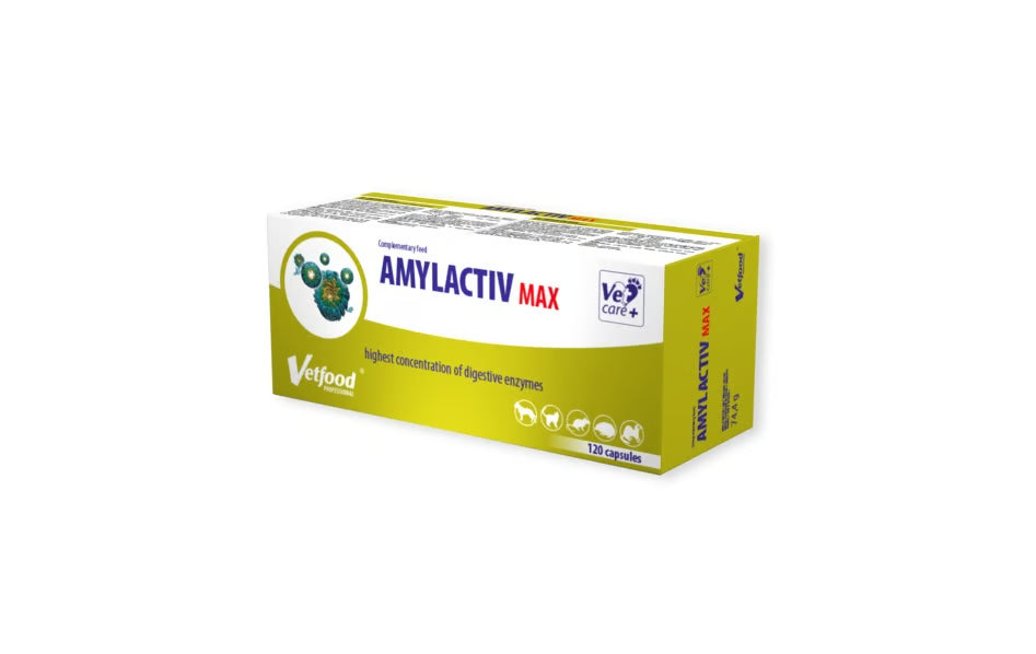 Amylactiv MAX Natural Enzymes, caps N120