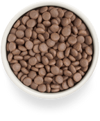 Grandorf Turkey Adult Medium & Maxi Breeds 10kg