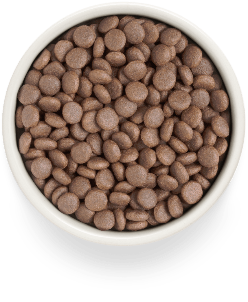 Grandorf Kalkon Vuxen Medium & Maxi Raser 10kg