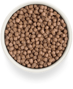 Grandorf Turkey Adult Mini Breeds 1kg