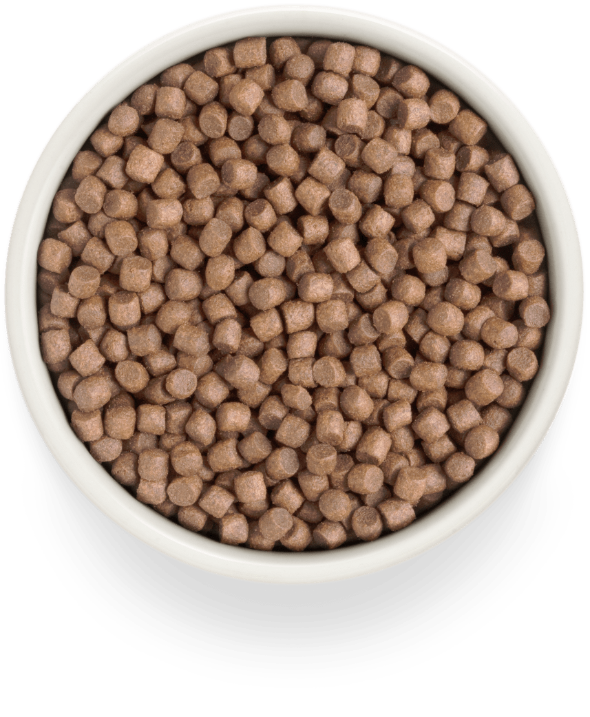 Grandorf Kalkon Vuxen Mini Raser 3kg