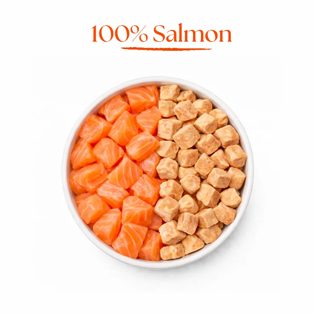 Dr Malou Freeze-Dried Meat Cubes for Cats with Salmon, 50 g