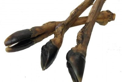 Deer Leg Natural Treats for Dogs(Deer Legs)