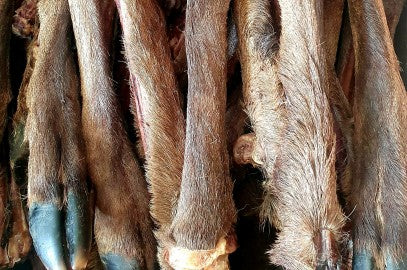 Patte de cerf avec fourrure