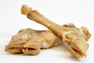 Cuisse d'agneau naturelle pour chien