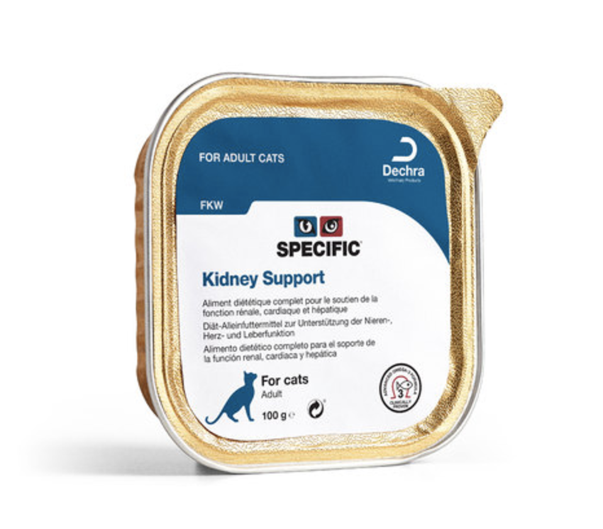 SPECIFIC™ Adult Cat FKW Nierenunterstützung, Nassfutter für Katzen mit Schweinefleisch, 100 g