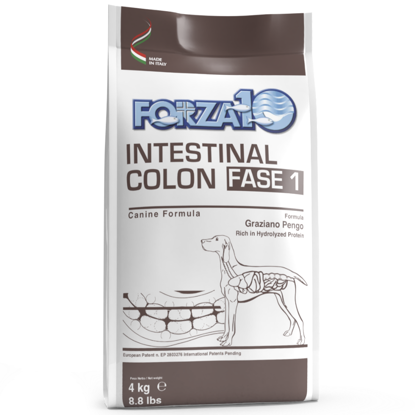 Forza10 Intestinal Colon Fase 1 Sausā barība suņiem akūtu zarnu absorbcijas traucējumu mazināšanai ar zivi, 4kg