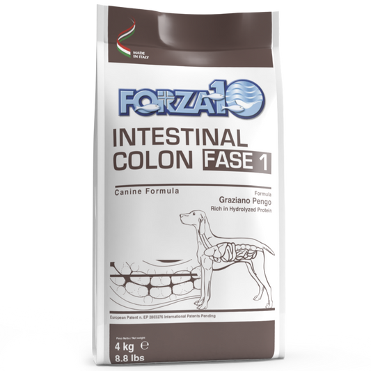 Forza10 Adult Dog Intestinal Colon Fase 1, Dry Dog Food With Fish, 4 kg