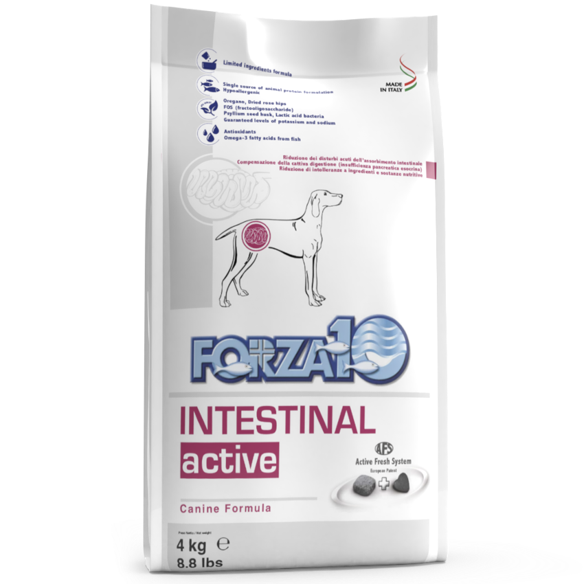Forza10 Adult Dog Intestinal Active, Dry Dog Food With Fish, 4 kg