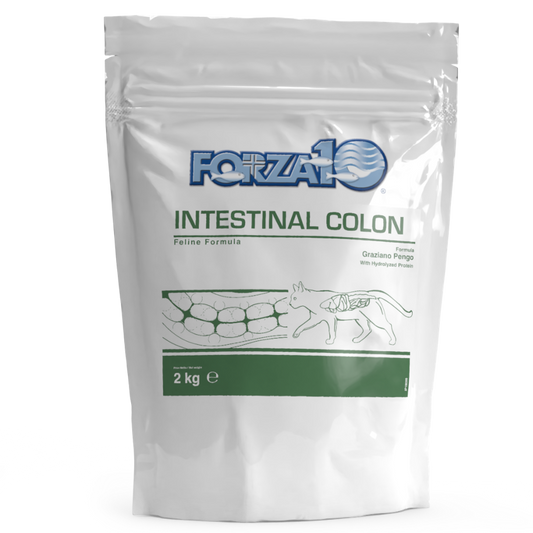 Forza10 Adult Cat Dry Food Intestinal Colon With Fish, 2Kg