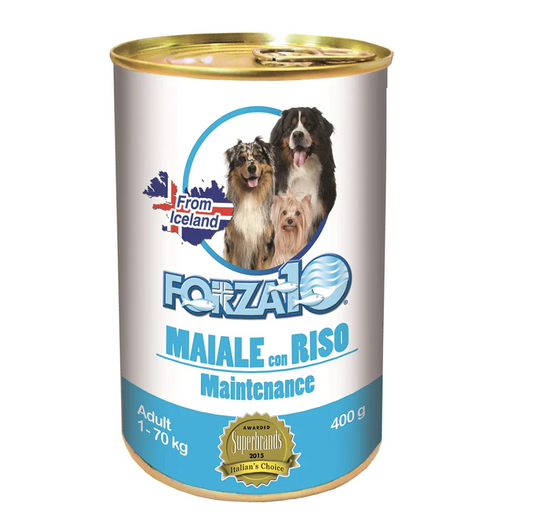 Forza10 Maintenance Adult Wet Dog Food With Pork and Rice, 400g
