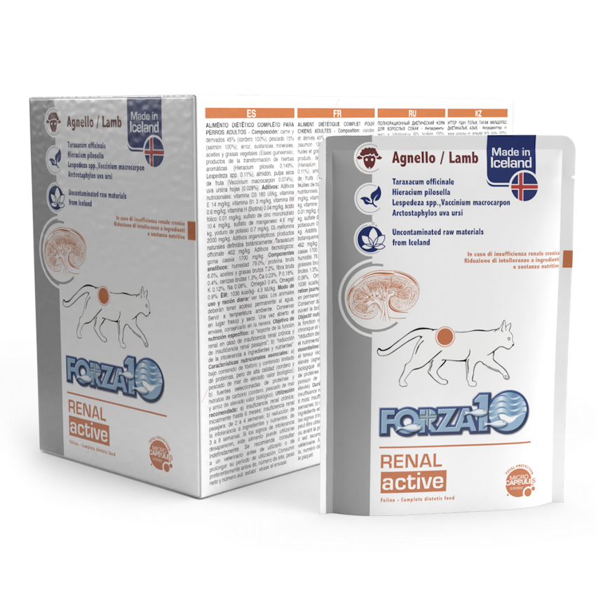 Forza10 Cat Renal ActiWet Wet Cat Food With Lamb,  100g