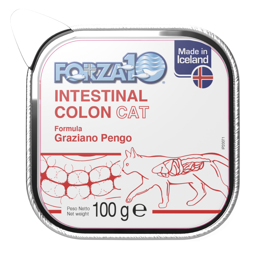 Forza10 Cat Intestinal Colon Wet Cat Food, 100g