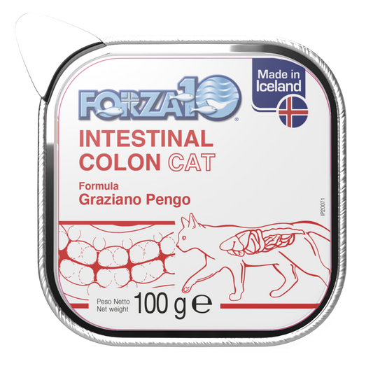 Forza10 Cat Intestinal Colon Wet Cat Food For the Reduction Of Acute Intestinal Absorption Disorders, 100g