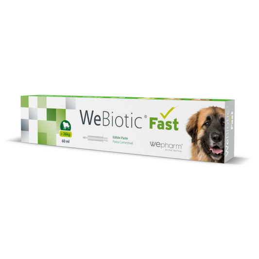 Wepharm® WeBiotic® Fast Digestion Supplement for Large Breeds >36kg , Paste, 60ml